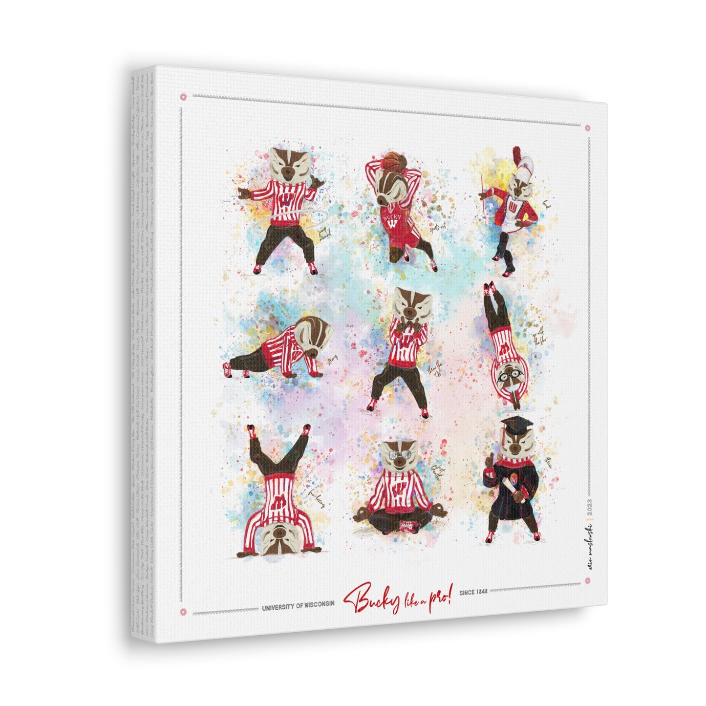 Bucky like a Pro | Wisconsin How to Bucky Badger illustrations