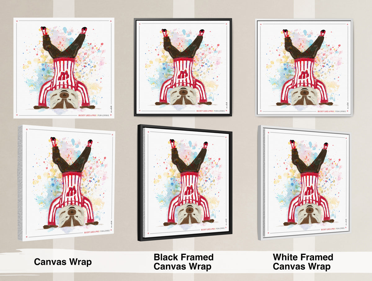 UW Bucky Badger Headstand Art: Wisconsin Fun Loving Canvas Print