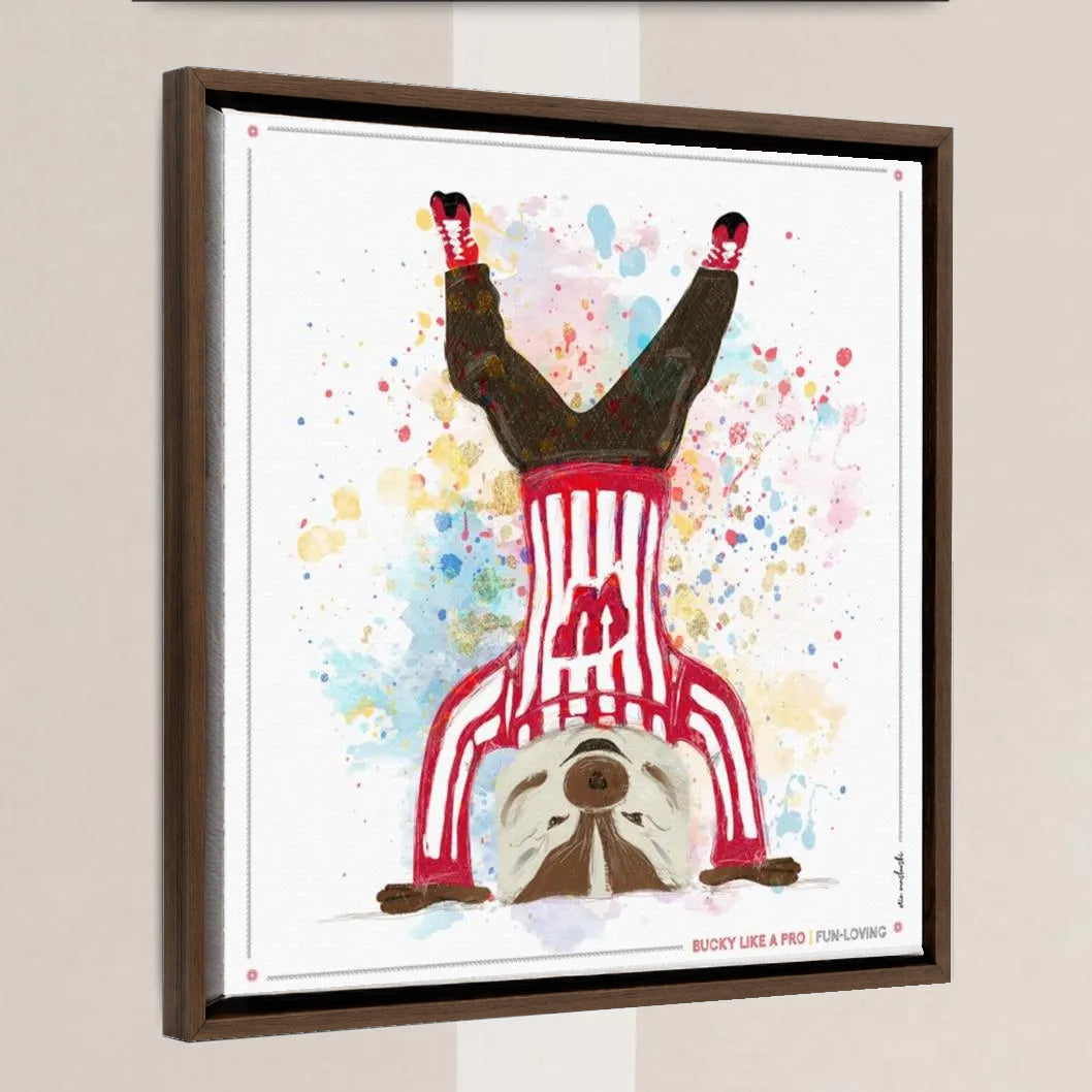 UW Bucky Badger Headstand Art: Wisconsin Fun Loving Canvas Print in a walnut float frame