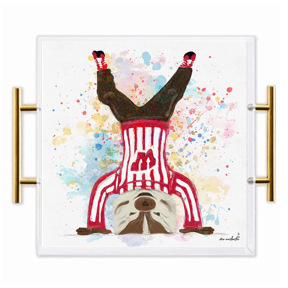 Wisconsin Badgers Acrylic Tray | Brushed Gold Handles | Double-Sided Art Print