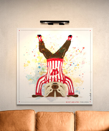 UW Bucky Badger Headstand Art: Wisconsin Fun Loving Canvas Print