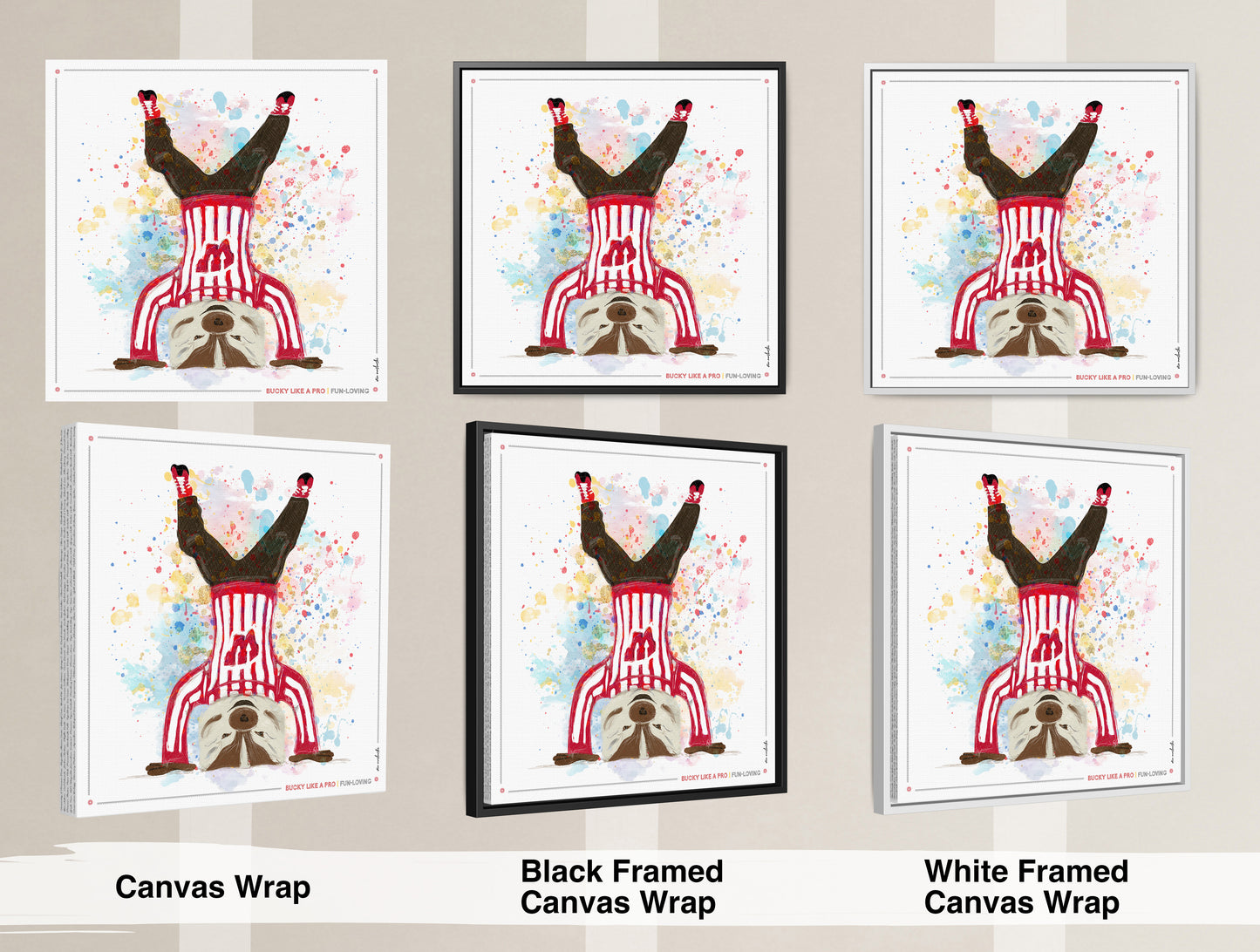 UW Bucky Badger Headstand Art: Wisconsin Fun Loving Canvas Print