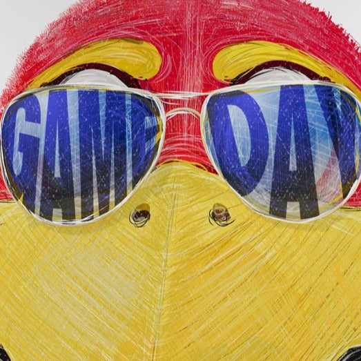 Jayhawk | Game Day | KU Art | Kansas Mascot | KU Gift | Sunglasses | Canvas Print | No Frame Needed