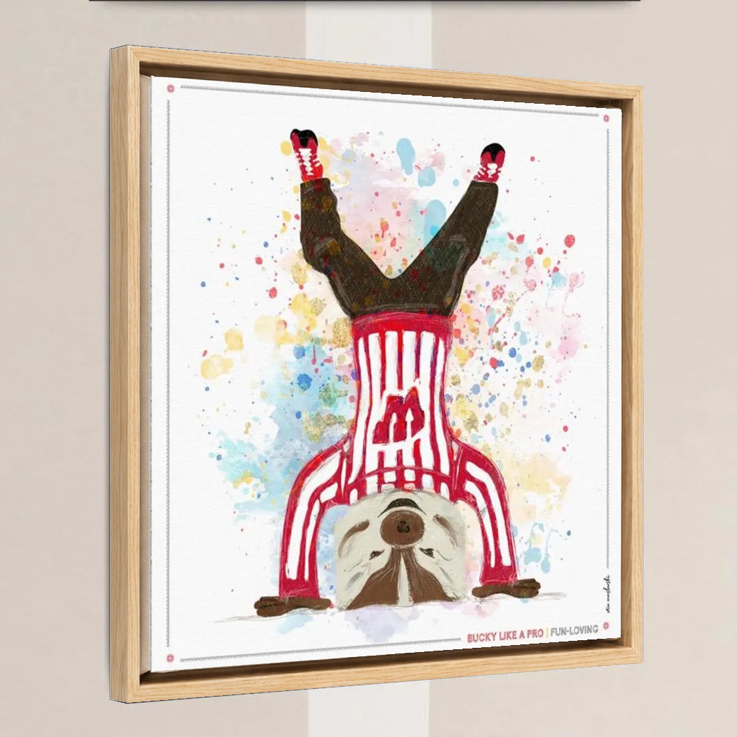 UW Bucky Badger Headstand Art: Wisconsin Fun Loving Canvas Print in a light oak float frame