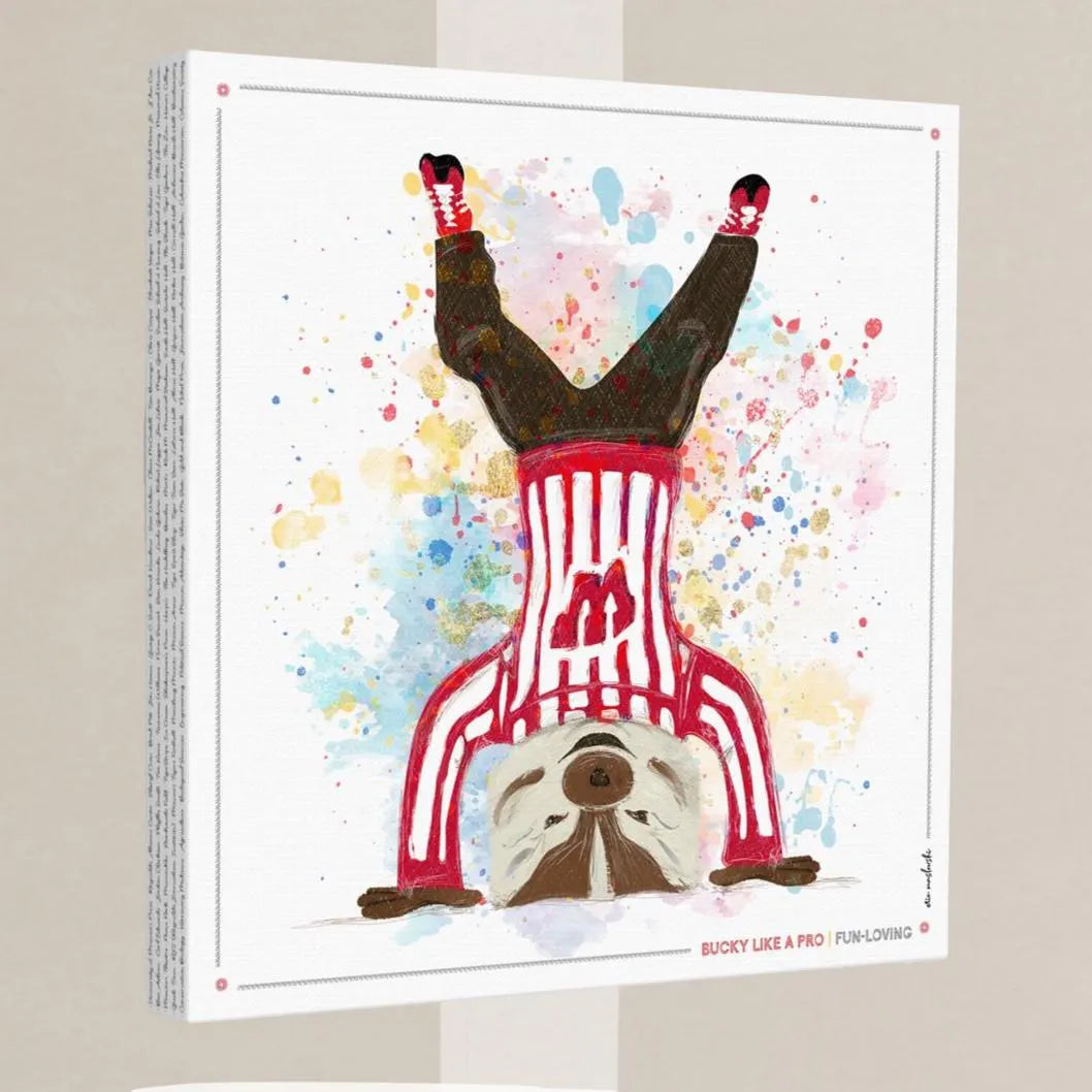UW Bucky Badger Headstand Art: Wisconsin Fun Loving Canvas Print
