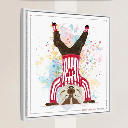 UW Bucky Badger Headstand Art: Wisconsin Fun Loving Canvas Print