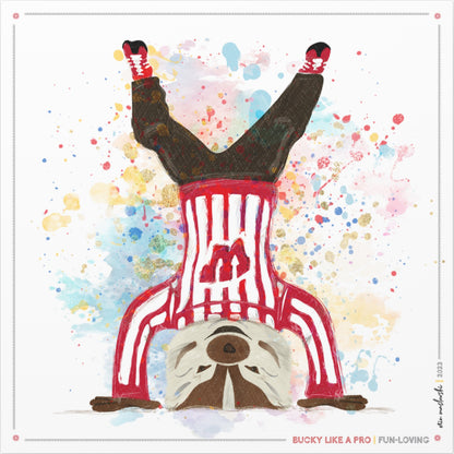 UW Bucky Badger Headstand Art: Wisconsin Fun Loving Canvas Print