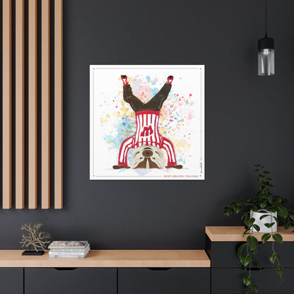 UW Bucky Badger Headstand Art: Wisconsin Fun Loving Canvas Print